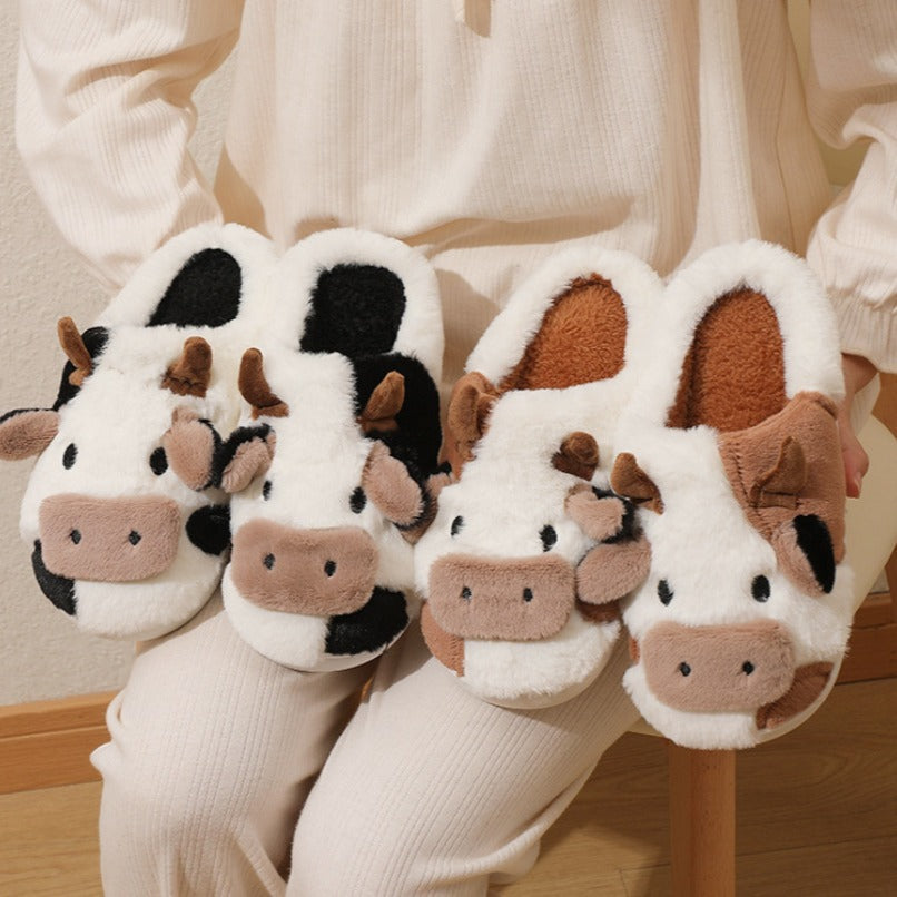 The Cow Slippers, view 1